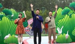 齐河绿城爆料最新消息视频,揭秘项目进展与未来规划